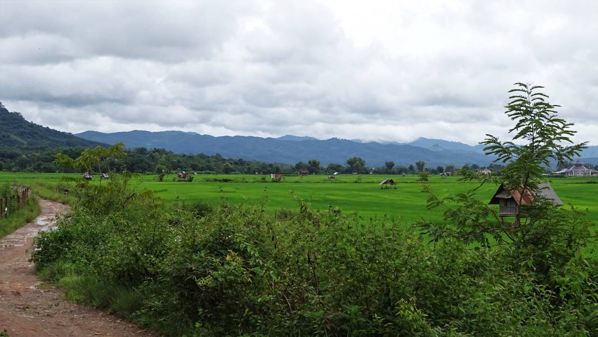 2 Days Luang Namtha Off-Road Cycling and Homestay